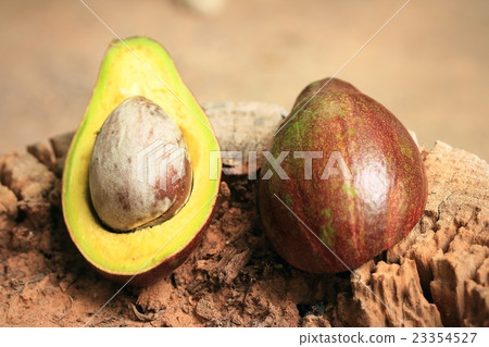 Avocado Avocado 23354527