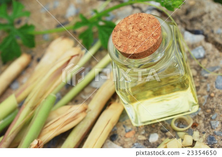 lemon grass essential oil lemon grass essential oil 23354650