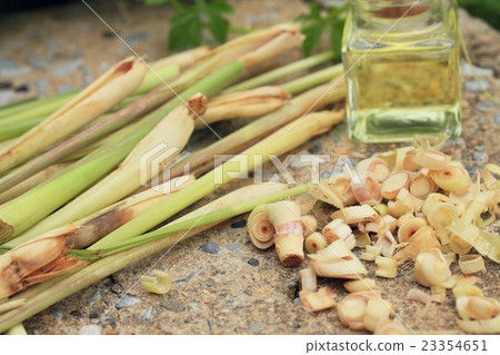 lemon grass essential oil lemon grass essential oil 23354651