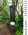 Hahajima，Breast Mountain，Promenade 23355115