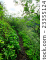 Hahajima，Breast Mountain，Promenade 23355124