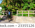 Hahajima，Breast Mountain，Promenade 23355126