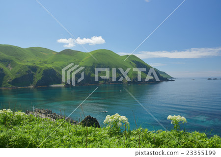 禮文島02 禮文島02 23355199