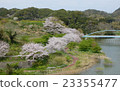 Cherry blossoms and dams 23355477