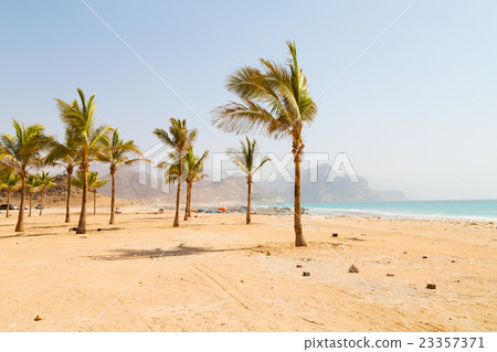 in oman arabic sea palm the hill nea in oman arabic sea palm the hill nea 23357371