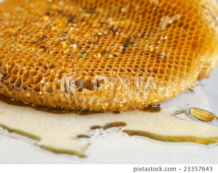 honeycomb with honey.Shallow depth of field. honeycomb with honey.Shallow depth of field. 23357643