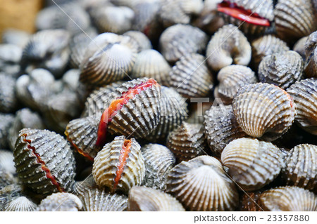 fresh cockles for sale at a market 23357880