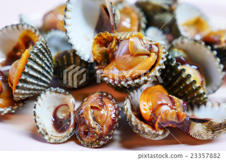 Closeup of Boiled cockles. 23357882