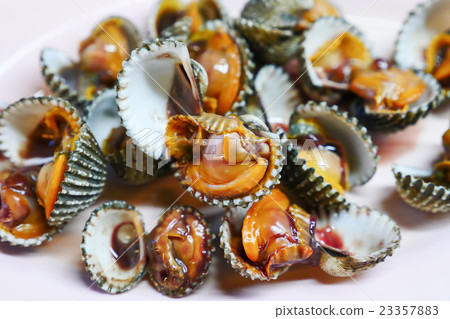 Closeup of Boiled cockles. 23357883