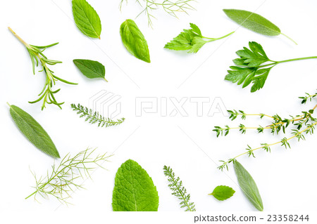Herb frame 23358244