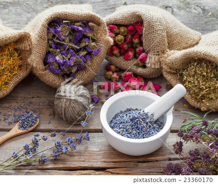 Healing herbs in bags and mortar with lavender 23360170