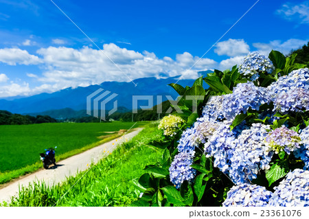 Rural landscape of early summer (64) Rural landscape of early summer (64) 23361076