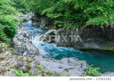 Nikko city, Tochigi Prefecture, 23361262