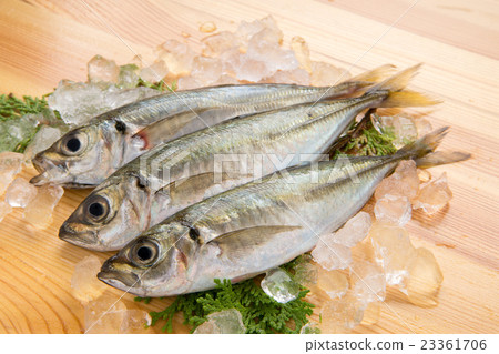Horse mackerel Horse mackerel 23361706