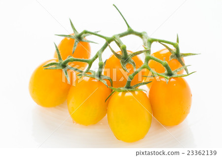  Mini Tomato 23362139