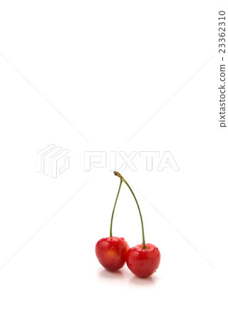 Cherry 23362310