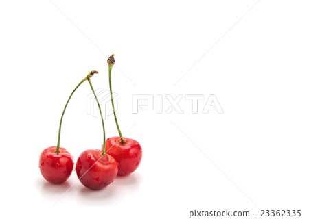 櫻桃 23362335