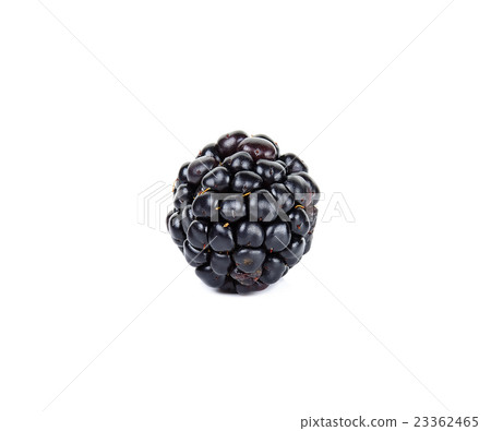 blackberry isolated on the white background 23362465