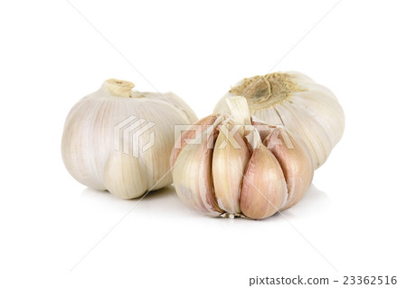 Garlic isolated on the white background Garlic isolated on the white background 23362516