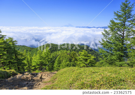 從Cloudo山Mt. Ozumori看到的富士山東京都奧多山鎮山梨縣丹波山村 23362575