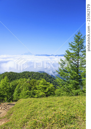 Mt. Fuji seen from Mt. Ozumori of Mt. Cloudo Mountain Tokyo Metropolitan Okutama Town Yamanashi prefecture Tamba mountain village 23362579