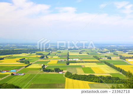 北海道十勝的風景 北海道十勝的風景 23362718