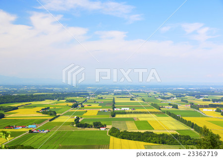 北海道十勝的風景 北海道十勝的風景 23362719