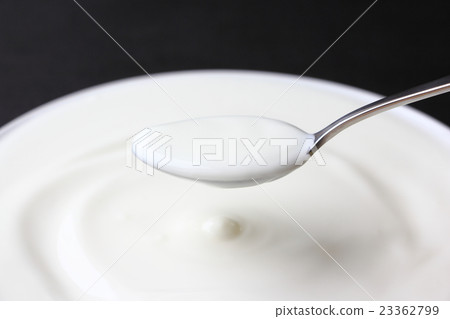 Yogurt Yogurt 23362799