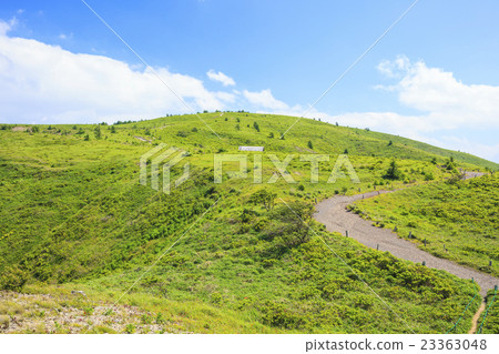 夏天陶器山長野縣松本市岡谷市 23363048