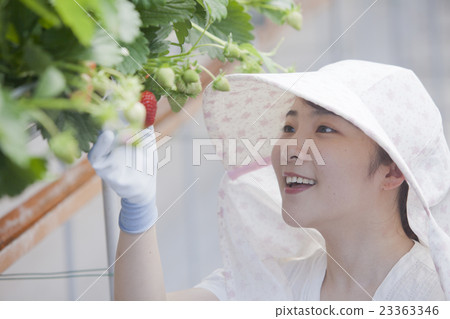 Ichigo農夫的女人 Ichigo農夫的女人 23363346