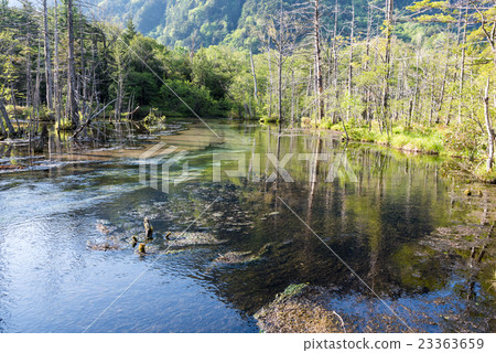 Takeshizawa Mire Takeshizawa Mire 23363659