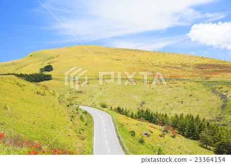 Venus line of Kanagamine Highlands blooming with Rengezuji and Chiyama Nagano Prefecture Suwa-shi Venus line of Kanagamine Highlands blooming with Rengezuji and Chiyama Nagano Prefecture Suwa-shi 23364154