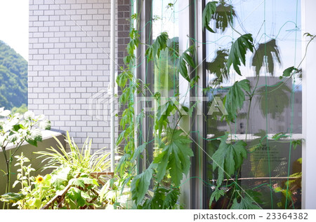家庭花園 23364382