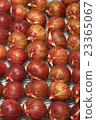 figs  23365067