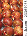 figs  23365068