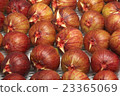 FIG  23365069