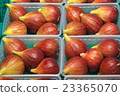 FIG  23365070