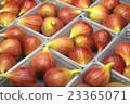 figs  23365071