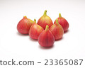 figs  23365087