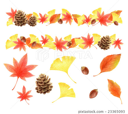 Autumn parts set 23365093