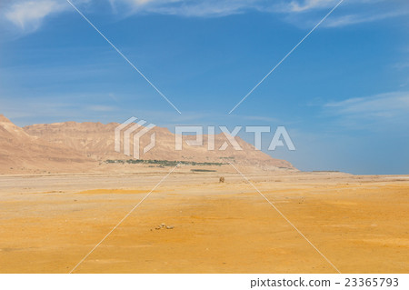 Oasis with the Mountains and the desert in Israel 23365793