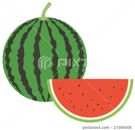 西瓜 23366006