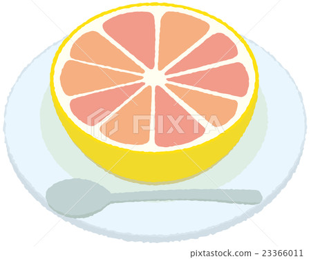 grapefruit grapefruit 23366011