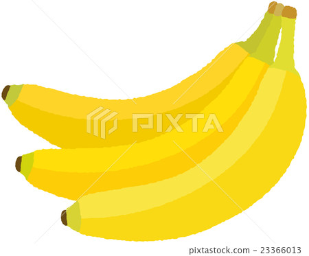 banana 23366013