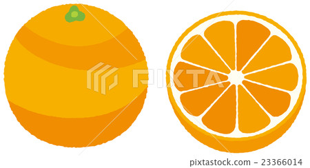 Orange  23366014