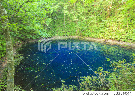Aoike at the Twelve Lakes in the Shirakami Mountains Aomori Prefecture Fukaura Town 23366044