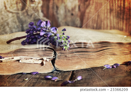 sctrathes effect on photo retro book on wooden table key sctrathes effect on photo retro book on wooden table key 23366209