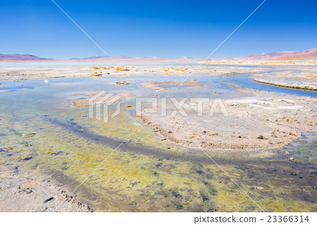 Hot water ponds on the Andes, Bolivia 23366314