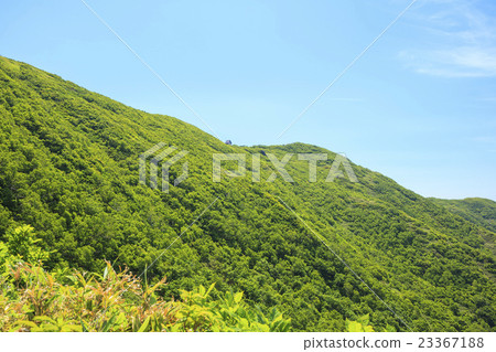 夏天青森縣深倉町的白神道 23367188