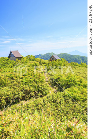夏天白神山頂青森縣深浦町 23367246